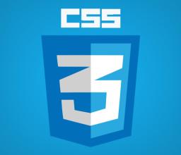 css's logo